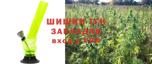 молекула духа Ростов