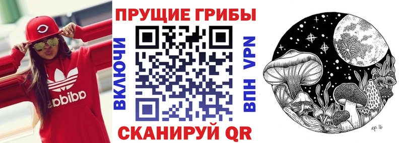 Купить закладки  Дербент  Галлюциногенные грибы мицелий 
